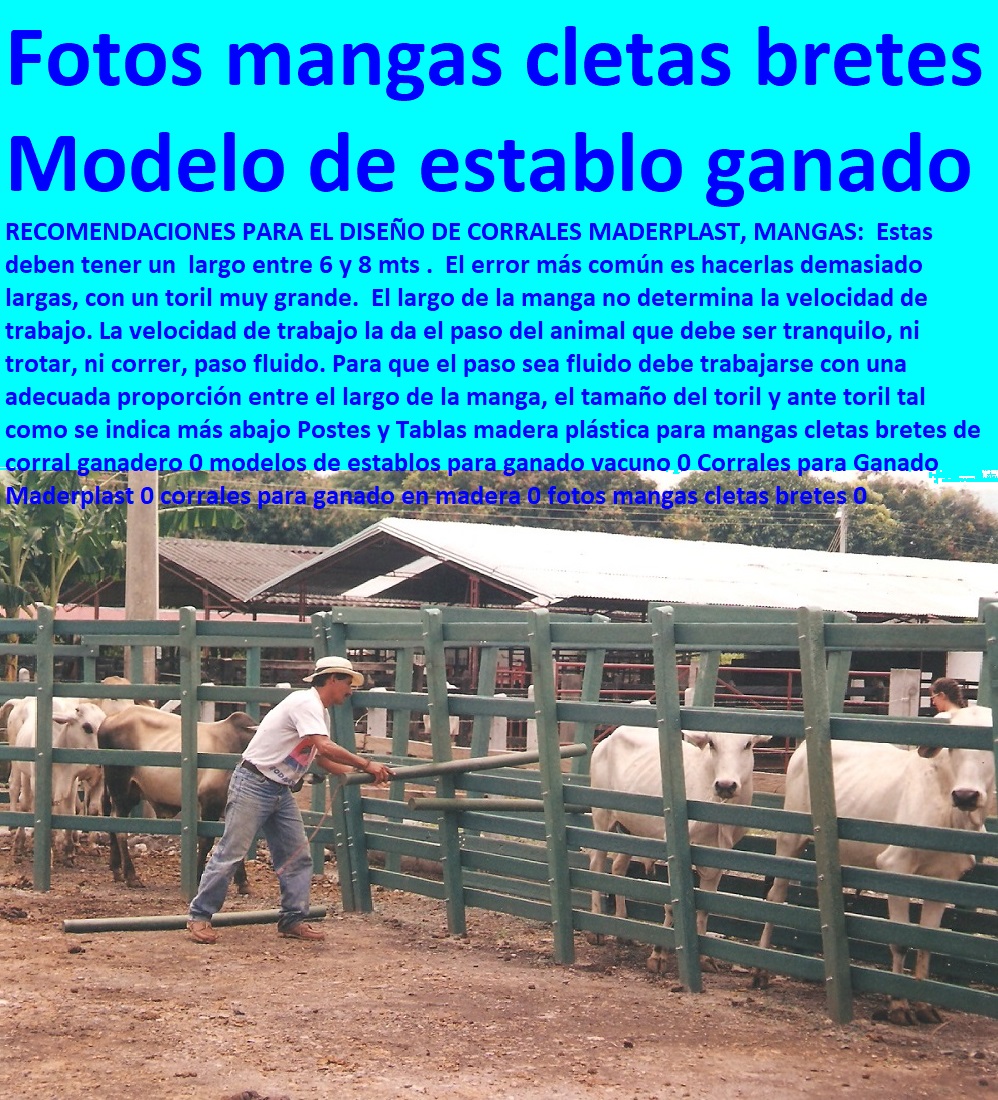 Postes y Tablas madera plástica para mangas cletas bretes de corral ganadero 0 modelos de establos para ganado vacuno 0 Corrales para Ganado Maderplast 0 corrales para ganado en madera 0 fotos mangas cletas bretes 0 Postes y Tablas madera plástica para mangas cletas bretes de corral ganadero 0 modelos de establos para ganado vacuno 0 Corrales para Ganado Maderplast 0 corrales para ganado en madera 0 fotos mangas cletas bretes 0 Postes y Tablas madera plástica para mangas cletas bretes de corral ganadero 0 modelos de establos para ganado vacuno 0 Corrales para Ganado Maderplast 0 corrales para ganado en madera 0 fotos mangas cletas bretes 0